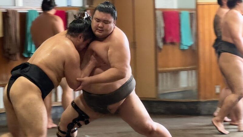 sumo-practice-watch-with-specialist-in-tokyo