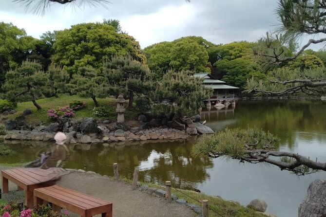sumo-practice-watching-and-japans-beautiful-culture-and-history