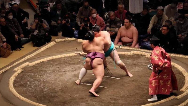 Sumo Tournament: Guided Tour + Ticket & Assigned Seat - Key Points