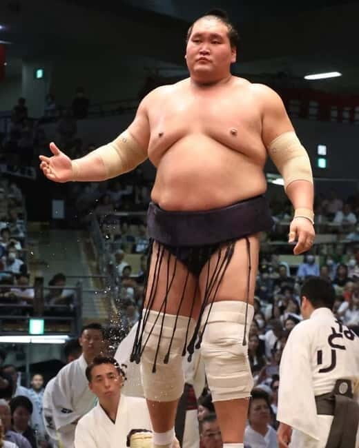 Sumo Tournament: Guided Tour + Ticket & Assigned Seat - What Is Included and What to Expect