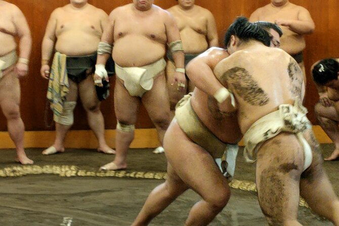 sumo-training-watching-experience