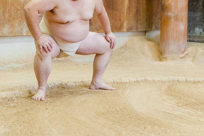sumo-training-watching-experience