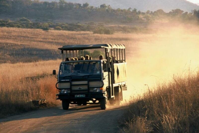 sun-city-6h-game-drive-with-lunch
