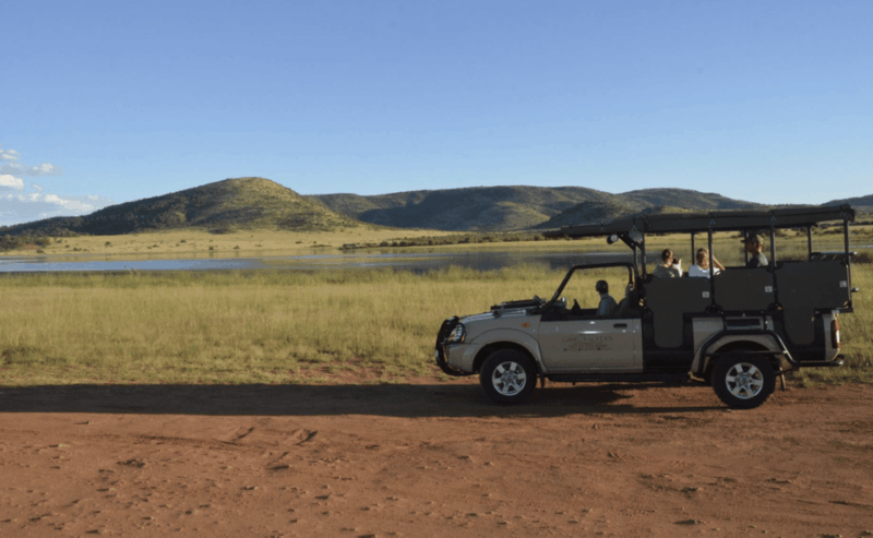 sun-city-6h-game-drive-with-lunch