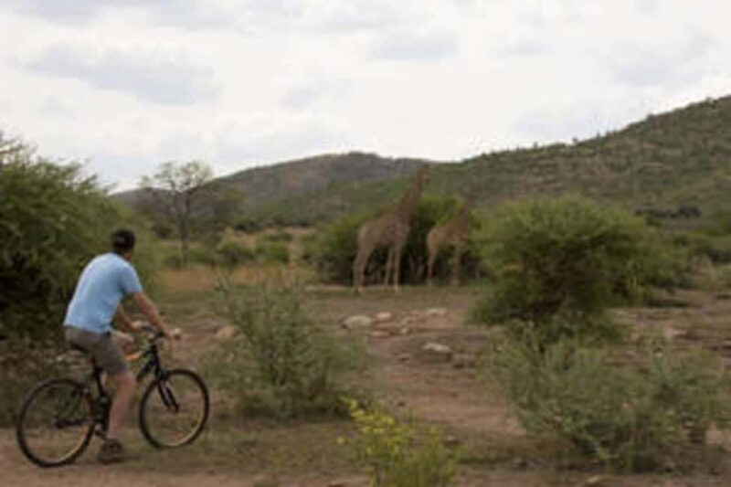 Sun City: Letsatsing Game Park Mountain Bike Trail - Key Points