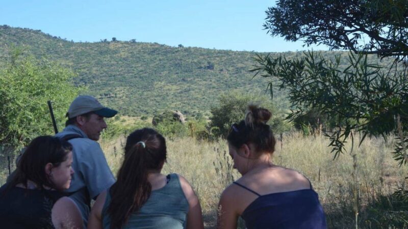 Sun City: Pilanesberg National Park Bush Walk - Final Thoughts