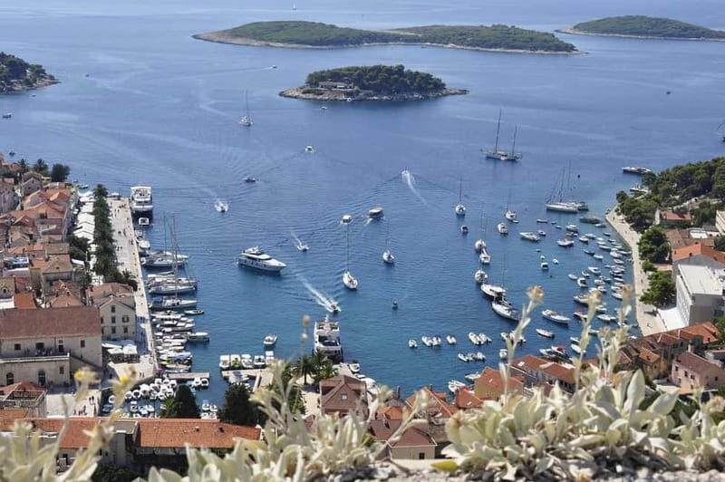 Sun-Kissed Hvar: A Private Walking Guided Tour - Practical Details and Tips