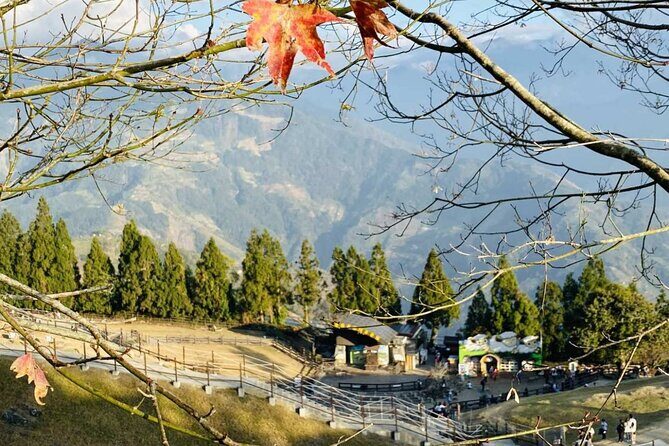 Sun Moon Lake & Cingjing Farm Day Tour from Taichung With Tea Egg - A Closer Look at the Itinerary