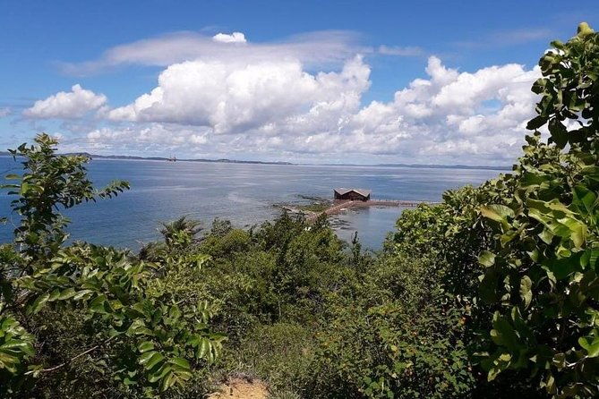 sun-sea-and-magic-ilha-dos-frades-and-itaparica-departure-from-salvador