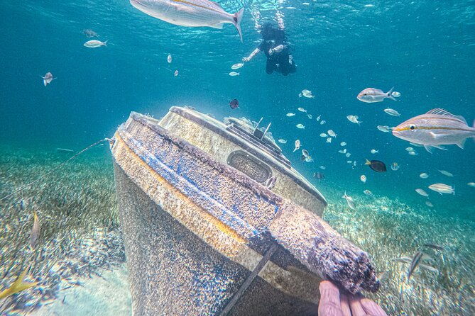 suncay-sunken-sculpture-snorkel-iguana-encounter-with-lunch