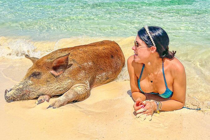 suncay-swimming-pigs-adventure-with-lunch-at-pigs-beach