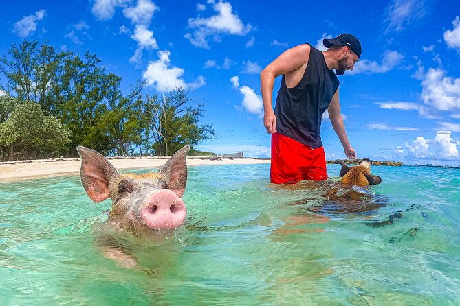 suncay-swimming-pigs-adventure-with-lunch-at-pigs-beach