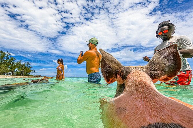 suncay-swimming-pigs-adventure-with-lunch-at-pigs-beach