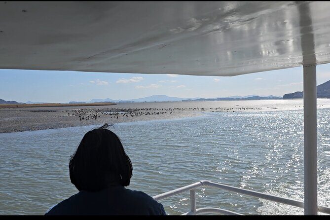 Suncheon and Yeosu Daily Private Tour with Pickup Service - The Sum Up