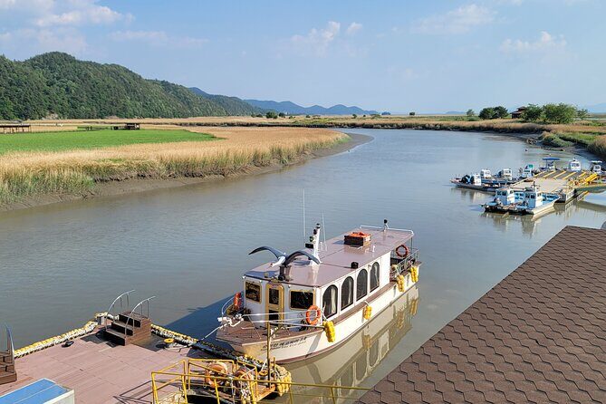 Suncheon one day tour from Seoul, Busan or Suncheon - The Sum Up: Who Will Love This Experience?