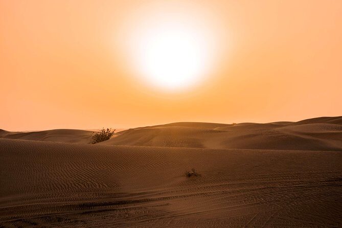 Sundowner Desert Safari and Dinner - Who Should Consider This Tour?