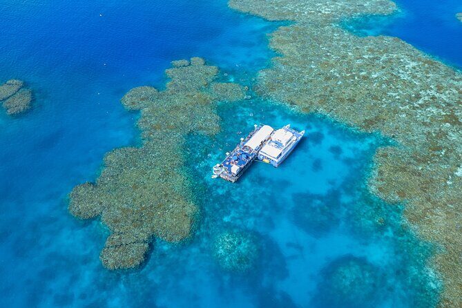 Sunlover Reef Cruises Cairns Great Barrier Reef Experience - What to Expect on the Day
