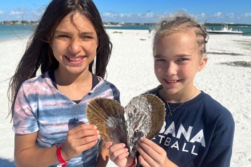 Sunrise and Shine 10,000 Islands Shelling Tour - Value and Practicalities