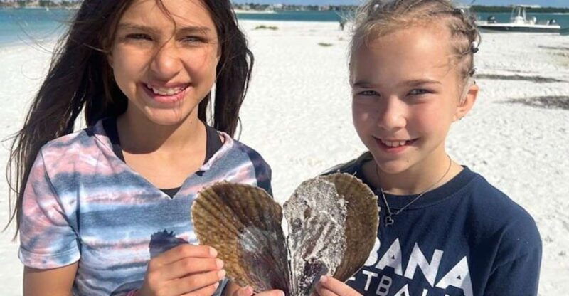 sunrise-and-shine-10000-islands-shelling-tour