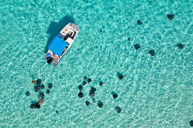 sunrise-at-stingray-city-private-tour