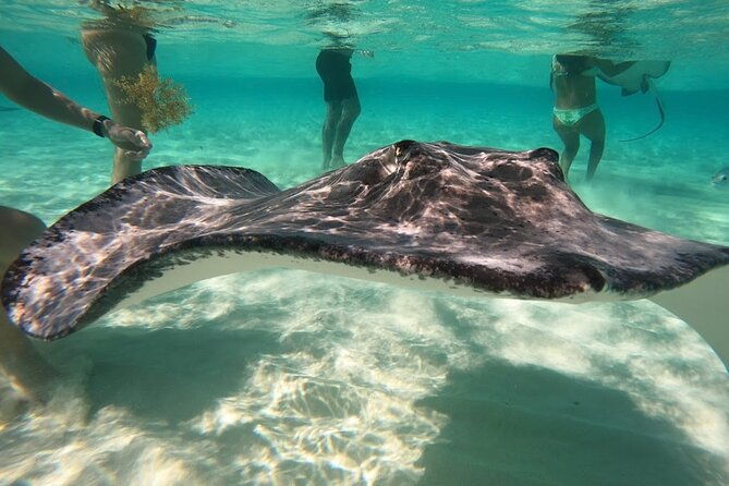 sunrise-at-stingray-city-private-tour