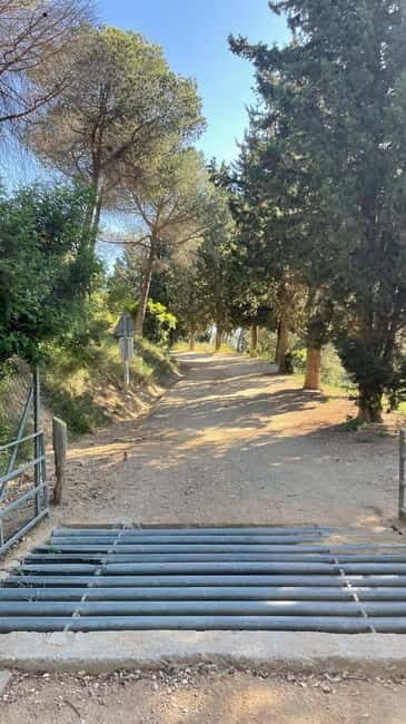 Sunrise at Tibidabo + local breakfast with views - Why This Tour Is Worth Considering