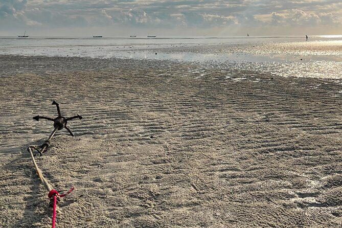 Sunrise Beach Walk with Picnic Breakfast Activity - Practical Details That Enhance the Experience
