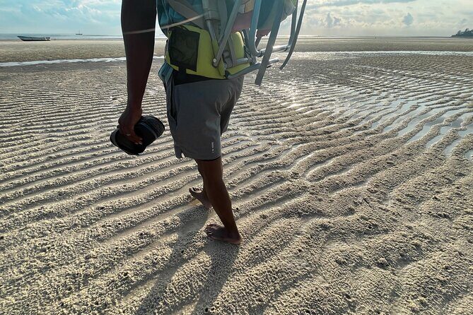 Sunrise Beach Walk with Picnic Breakfast Activity - The Reviews Say It All