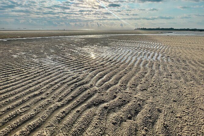 Sunrise Beach Walk with Picnic Breakfast Activity - Who Should Consider This Tour?