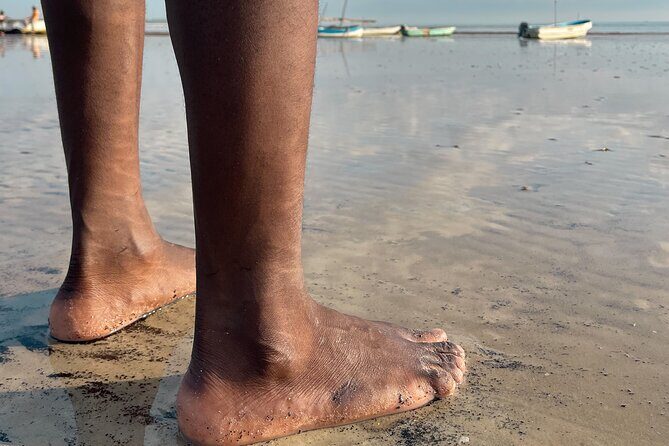 Sunrise Beach Walk with Picnic Breakfast Activity - The Sum Up