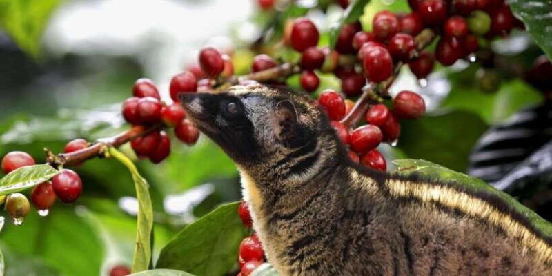 sunrise-cafe-and-morning-yoga-class