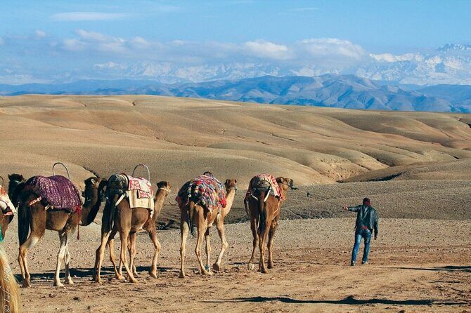 Sunrise Camel Ride and Breakfast in Agafay Desert from Marrakech - Final Thoughts