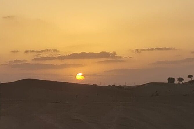 Sunrise Desert Safari - A Magical Morning in Dubai - An In-Depth Look at the Tour Experience