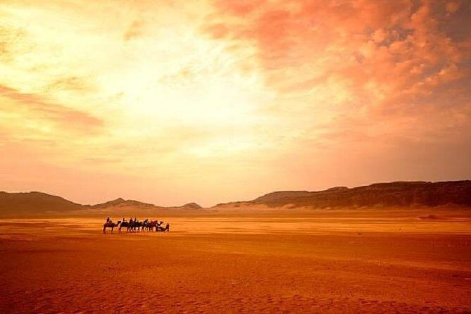 Sunrise Desert Safari - Authentic Reviews: What Travelers Say  