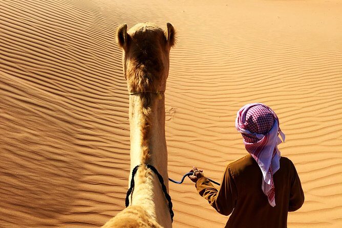 Sunrise Desert Safari from Abu Dhabi - What Makes This Tour Special?