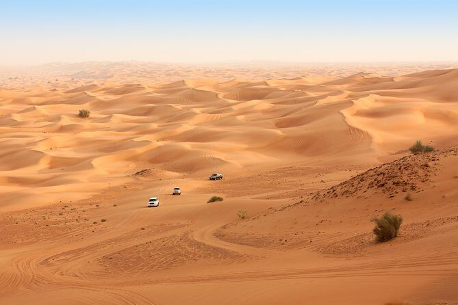 Sunrise Desert Safari from Abu Dhabi - Key Points