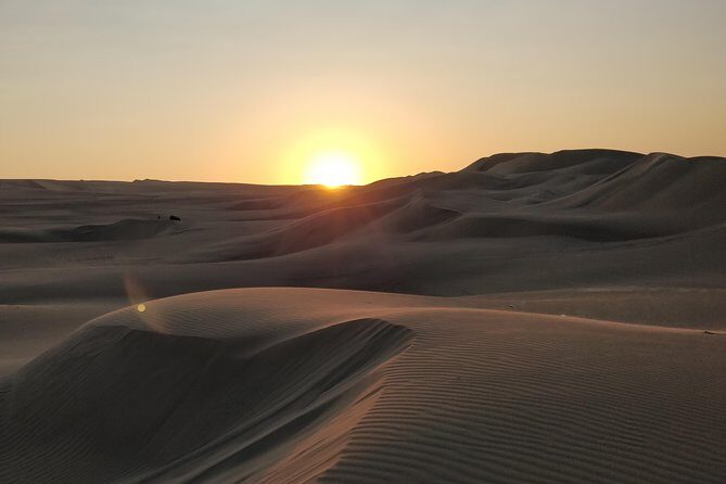 Sunrise Desert Safari in Qatar: An Unforgettable Adventure - The Experience in Detail