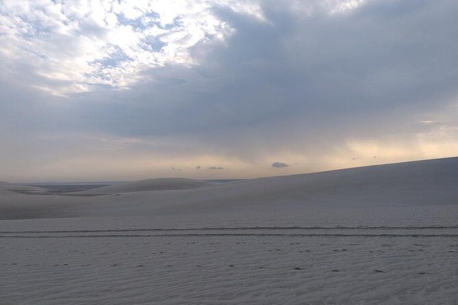 Sunrise Desert Safari in Qatar: An Unforgettable Adventure - Who Will Love This Tour?