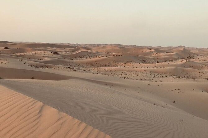 Sunrise Desert Safari with Quad bike and Sandboarding, - What to Expect from the Sunrise Desert Safari