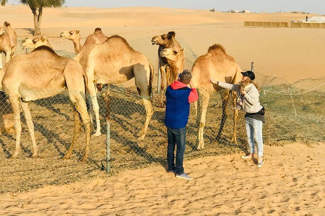 Sunrise Desert Safari with Quad bike and Sandboarding, - FAQ