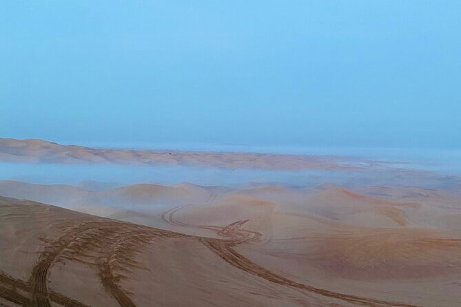 Sunrise Desert Safari with Sand Boarding and Camel Ride - Who Will Love This Tour?
