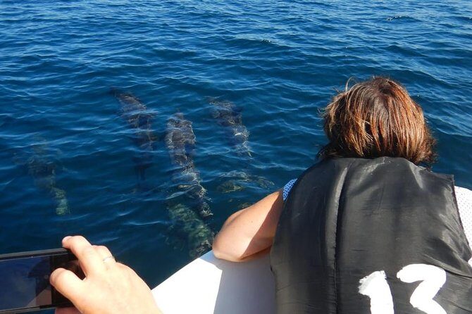 Sunrise dolphin watching experience and Bar Reef snorkelling  Kalpitiya - Overview of the Experience