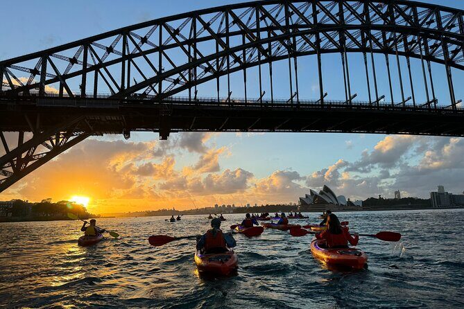 Sunrise Double Kayak Paddle Session on Syndey Harbour - Who Should Consider This Tour?