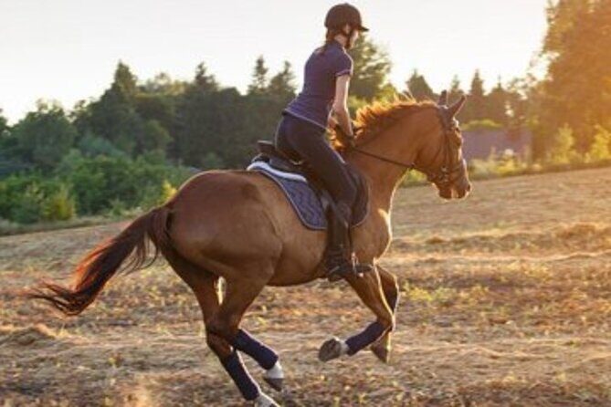Sunrise Horse Riding Dubai - The Experience in Detail