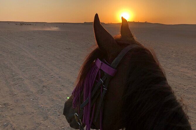 Sunrise Horseback Ride Around the Pyramid of Giza - The Sum Up