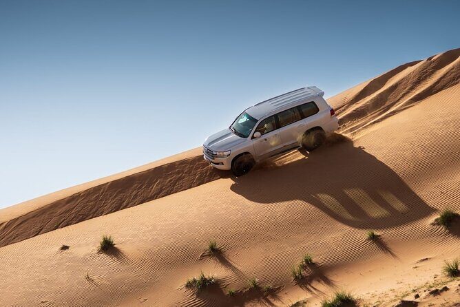 Sunrise/Morning Dune Drive with Camel Trek & Sand Surfing - What Makes This Tour a Good Deal?