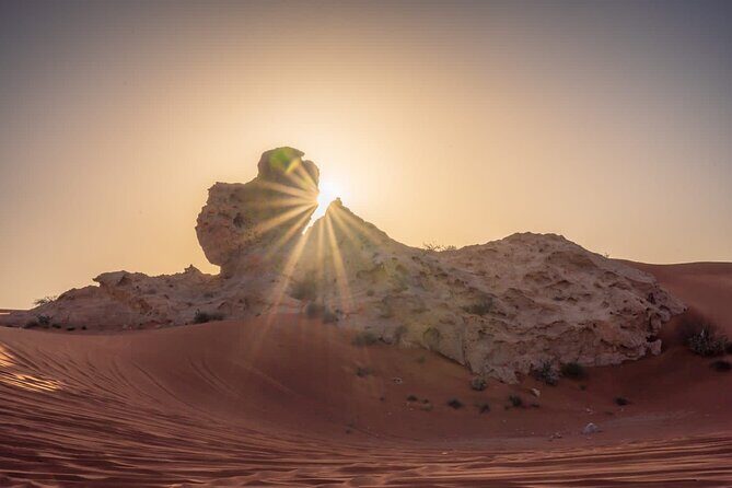 Sunrise/Morning Dune Drive with Camel Trek & Sand Surfing - FAQ