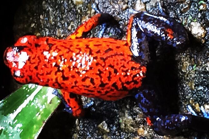 sunrise-nature-river-float-half-day-tour-in-la-fortuna