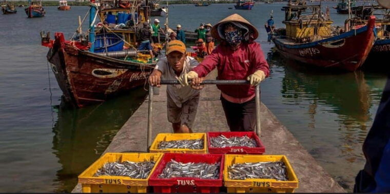 sunrise-on-the-hoai-river-tour-in-hoi-an