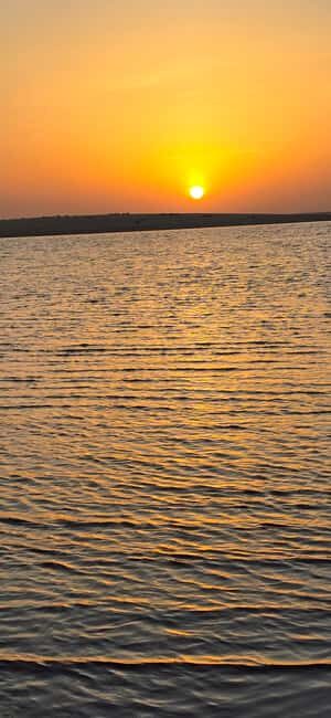 Sunrise or Sunset desert Safari with Sandboarding in Qatar - What Makes This Tour Special?